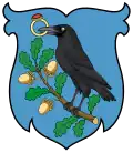 Coat of arms of Hunyad