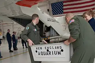 The aquarium working with the United States Coast Guard to transport endangered sea turtles