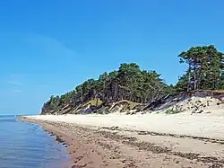 Coastal dunes