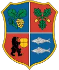 Berehove Raion