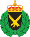 Air Home Guard