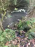 The Cornie Burn where it joins the Midhope Burn and thence passes into the Forth