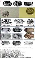 Comparison of the Mont'e Prama Scarab