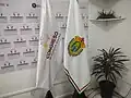 Government flag of Veracruz