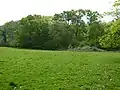 Cooksbridge Meadow