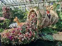 Orchid cornucopia in the annual festival of orchids at the Royal Botanic Gardens, Kew[80]