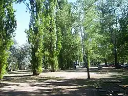 Picnic area with trees, picnic tables and children's play equipment.