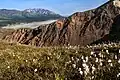 South aspect of Mt. Sheldon on the skyline