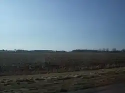 Farmland in west-central Washington Township