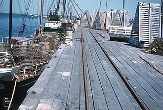 Crayfish boats at Port Welshpool, 1958