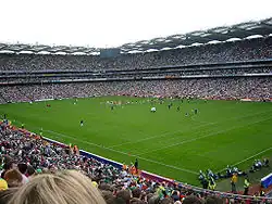 Gaelic and Ladies' Gaelic football, hurling, and camogie pitch
