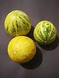 Mature fruit, Austin, Texas