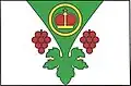 Flag of Dřísy