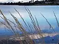 Derwent River, near Claremont