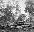 Logging