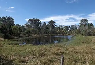 Dam along Redhill Road, 2015
