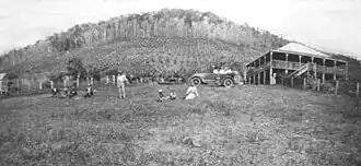 Damm's banana farm in Webster Road, circa 1920.jpg