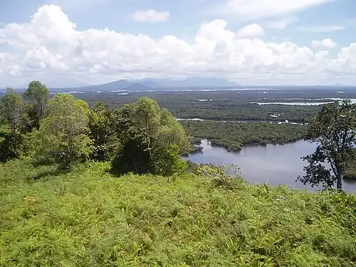 Image 13Wetland habitat types in Borneo (from Habitat)