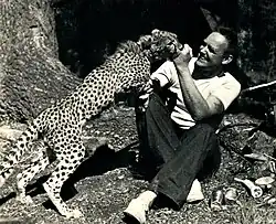 Daniel P. Mannix with his trained cheetah Rani