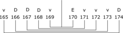 składka r