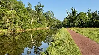 Water filled canal and towpath passing by a forest