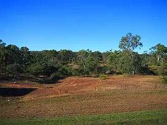 Bushland, Queenton, 2013