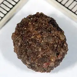D. nigroornata sand cocoon