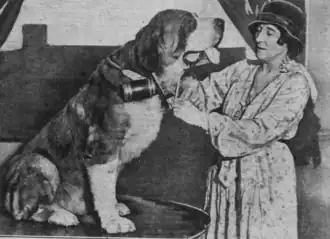 Belais in 1931 awarding a St. Bernard dog on Animal Hero Day