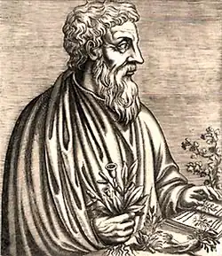 Later representation of Dioscorides