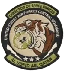 Director of Space Forces, United States Air Forces Central Command emblem (until 2022)