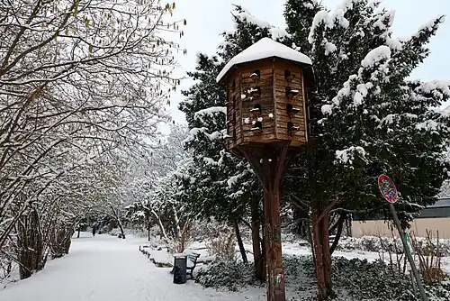 Dovecote in the park in winter, 2025.