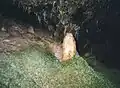Syrauer Dragon Cave