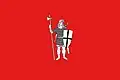 Flag of Strășeni
