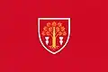 Flag of Biruința