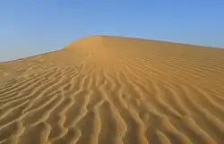 Thar Desert