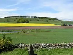 Dunnichen Hill in the present day, seen from Dunnichen Moss, the traditional site of the battle. The hill, which is relatively low, lies in farmland. The summit is covered with a small, copiced birch wood. In the foreground is a dry-stone wall behind which lies a small, modern pond.