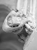 Tail-biting beast on the north side of chancel