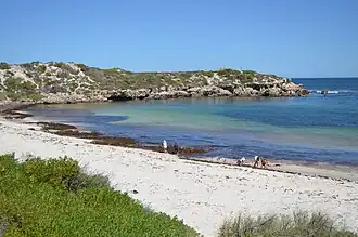 Dynamite Bay, Green Head in 2013