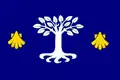 Flag of A Pobra do Caramiñal