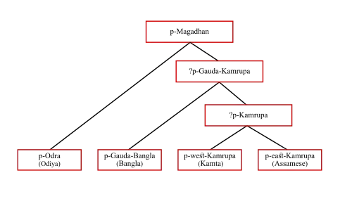 The descent of proto-Gauda, the ancestor of the modern Bengali language, from the proto-Gauda-Kamarupa line of the proto-Magadhan (Magadhi Prakrit).​​​