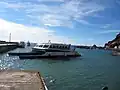 Ferry in Fort Bay harbor