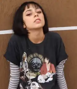 Image 97An example of an e-girl's aesthetic (from 2010s in fashion)