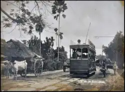 Electric tram in Singapore running on road-level tracks with overhead cables; on the road are also ox-drawn carts and people on foot. By the road is a single-storey building and numerous trees, including palm trees.