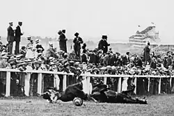 Davison and Anmer on the ground following their collision