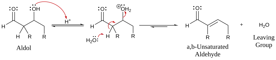 Mechanism for acid-catalyzed dehydration of an aldol
