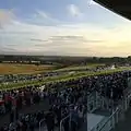 Image 13Epsom Downs, a racecourse which hosts The Derby annually. One of four in the county. (from Portal:Surrey/Selected pictures)