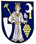 Coat of arms of Hajná Nová Ves