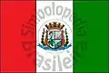 Flag of Vila Valério