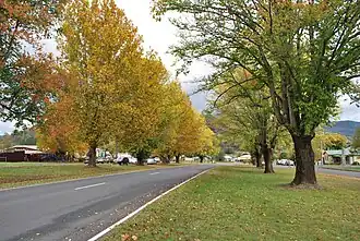 Omeo Highway at Eskdale