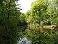 Titre pond